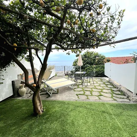 Il Gabbiano 酒店 4*